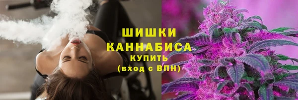 бошки Пересвет