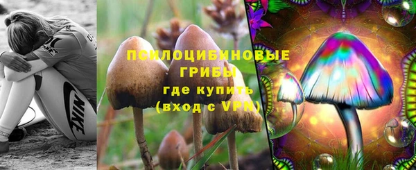 бошки Пересвет