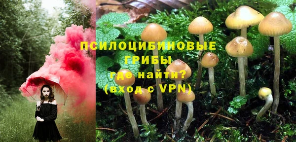 меф Пестово
